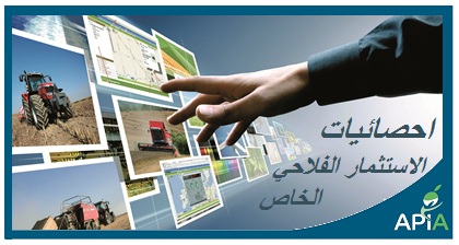 807.5 مليون دينار قيمة الاستثمار المصرح بها خلال 8 أشهر 2026