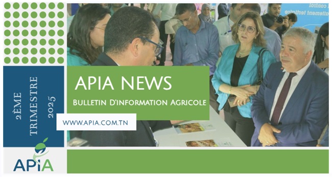 APIA NEWS 2ème trimestre 2025