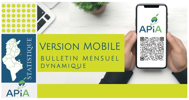 Données Statistiques APIA 2025- Version Mobile