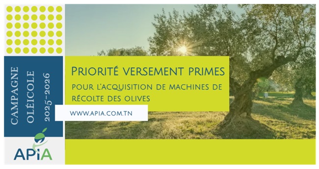 Priorité au versement des primes pour l’acquisition de machines de récolte des olives